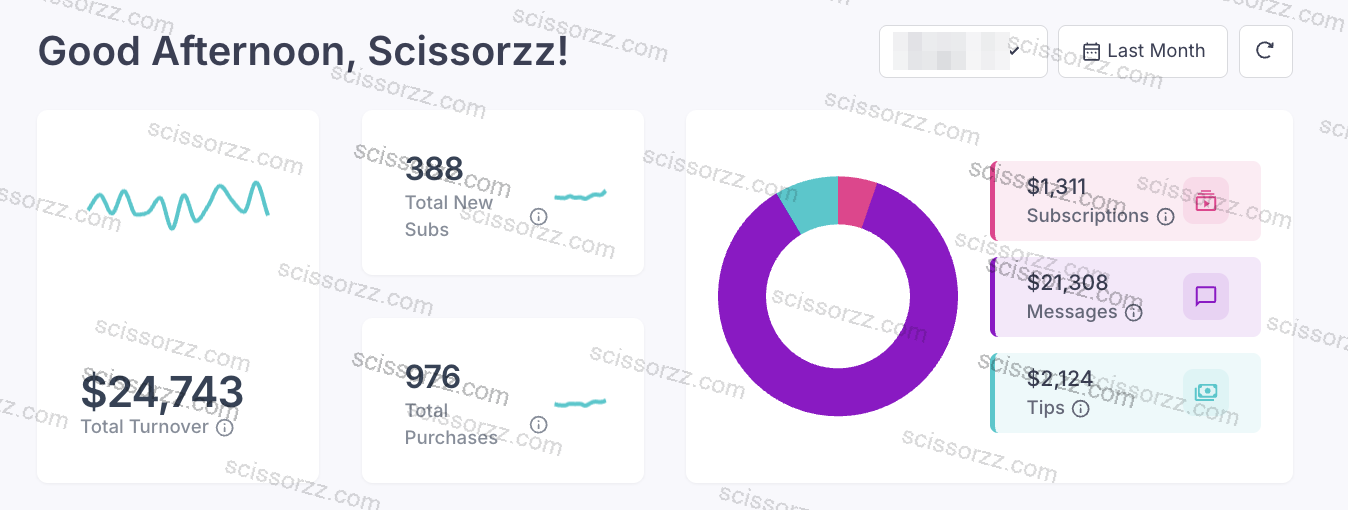 CreatorHero analytics dashboard showing $24,743 monthly turnover with $21,308 from messages and $1,311 from subscriptions